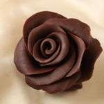 Chocolate Rose